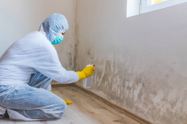 Mold inspector in Marbury performing thermal imaging
